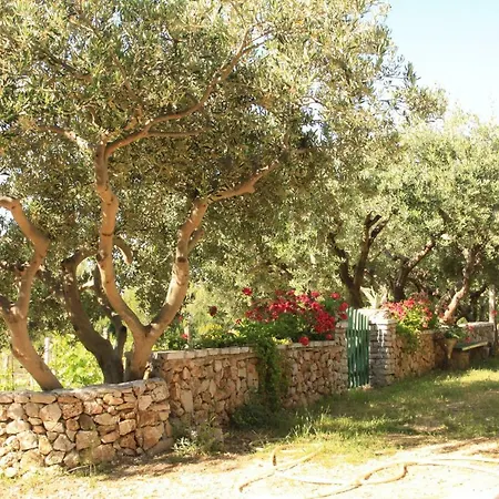 Ivan Tatil Evi Bol
