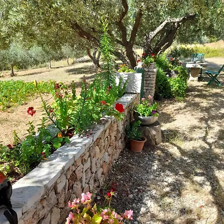 Дом отдыха Ivan *